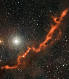 Komposit von Barnard 211 und 213 aus APEX-Submillimeterdaten (dargestellt in orange) und einem Bild im sichtbaren Licht
Quelle: Bild: ESO/APEX (MPIfR/ESO/OSO)/A. Hacar et al./Digitized Sky Survey 2. Acknowledgment: Davide De Martin (idw)