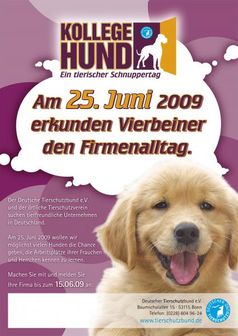 Bundesweiter Aktionstag "Kollege Hund": Tierfreundliche Unternehmen können sich noch anmelden