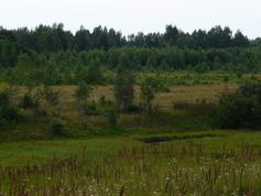 Verwaldung stillgelegter landwirtschaftlicher Flächen auf dem Gebiet der ehemaligen Sowjetunion
Quelle: Foto: Alexander V. Prishchepov (IAMO) (idw)