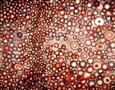 Bild 5: Ross Bleckner, O Room, 2001, Öl auf Leinwand, 108 x 72 inches