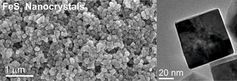 Pyrit-Nanokristalle im Elektronenmikroskop: Aus solchen Kristallen besteht die Kathode der «Katzengo
Quelle: Empa (idw)