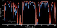 Simulierter Linienwald eines Quasarspektrums. Das blaue Spektrum stellt ein Universum ohne Blazarheizen dar, das rote ein Universum mit Blazarheizen. Deutlich ist, dass der zusätzliche Heizprozess neutralen Wasserstoff ionisiert und damit weniger UV-Licht eines Quasars absorbiert wird.
Quelle: Grafik: HITS (idw)