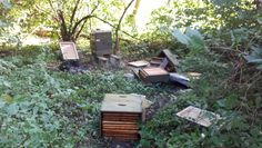 Bild der verwüsteten bzw. zerstörten Bienenstöcke Bild: Polizei
