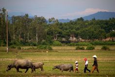 http://www.lucci-vietnam.info/
Quelle: Foto: D. Meinhardi/LUCCi (idw)