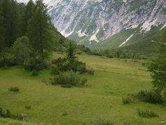 Hier fühlen sich die Falter wohl: Halltal in Nordtirol, in etwa 1800 Meter Höhe
Quelle: © Thomas Schmitt/Senckenberg (idw)