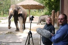 Angela Stöger und Ko-Autor Daniel Mietchen bei ihren Forschungsarbeiten im Everland-Zoo, Südkorea.
Quelle: Copyright: Department für Kognitionsbiologie, Universität Wien (idw)