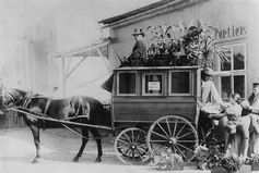 Vor 120 Jahren erobern die Raritäten der Gartenbaufirma Blumenschmidt den deutschen und europäischen Markt. D Bild: Stadtarchiv Erfurt Fotograf: Bundesgartenschau Erfurt 2021