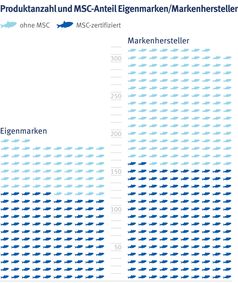 Bild: Marine Stewardship Council (MSC) Fotograf: Marine Stewardship Council (MSC)