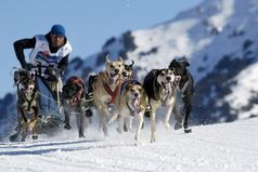 Schlittenhunderennen von Pirena Quelle: Pirena Karl-Heinz Raubuch