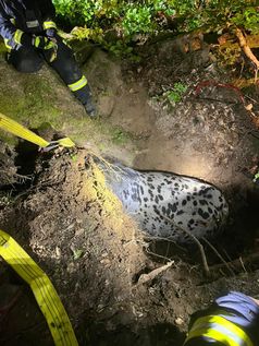 Bild: Feuerwehr Borgentreich