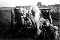 Opfer der sovietisch Erzeugten Hungersnot (1922), Archivbild