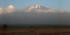 Der 5.895 Meter hohe Kilimandscharo mit seinen unterschiedlichen Klimazonen ist für die Ökologie ein bedeutendes Forschungsfeld. Quelle: (Foto: Anna Kühnel) (idw)