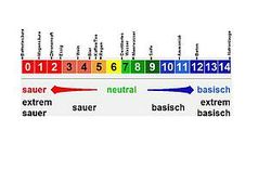 pH-wert Skala Grafik: EIKE
