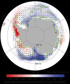 Abb. 2: Dekadische Veränderungen der mittleren jährlichen Meereiskonzentration und der Meereisdrift.
Quelle: Haumann et al., 2014, Geophys. Res. Lett (idw)