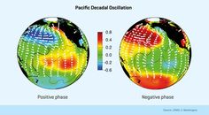 Muster der dekadischen Klimaschwankung im Pazifik in der Meeresoberflächentemperatur.
Quelle: Quelle: JISAO, U. Washington. (idw)