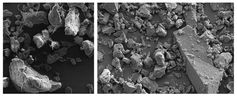 Mikroplastik aus Peeling-Produkten (li.) und gemahlenes Karnaubawachs (re.) haben ähnliche Eigenscha
Quelle: Fraunhofer UMSICHT (idw)