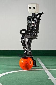 Der neue Fußballroboter "NimbRo-OP" ist rund 95 Zentimeter groß und 6,6 Kilogramm leicht. Insgesamt sorgen 20 Antriebselemente und eine hohe Rechenleistung dafür, dass er sehr beweglich und reaktionsschnell ist. Mit seiner speziellen Weitwinkelkamera behält er den Überblick über das Fußballfeld.
Quelle: (c) Foto: Felix Oprean/Uni Bonn (idw)