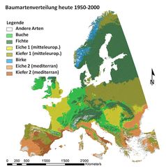 Abb. 1: Potenzielle Verbreitung der wichtigsten Baumarten in Europa für die climate normal period (1950–2000)
Quelle: M. Hanewinkel / WSL (idw)