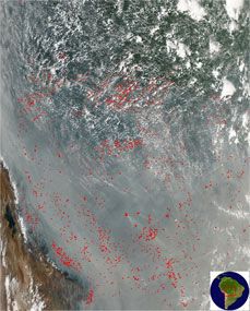 Qualm statt Wolken: Auf dieser Satellitenaufnahme von Südamerika sieht man im unteren Bereich, dass die vielen Waldbrände(rote Punkte) zu so hohen Aerosolbelastungen führen, dass gar nicht erst Wolken entstehen.  Bild: NASA