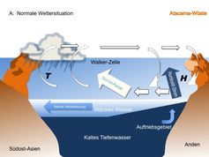 In der Abbildung A ist die normale Wettersituation dargestellt. Im westlichen Pazifik in Äquatornähe liegt die Wassertemperatur mit 28 C um 4 C höher als auf gleicher Breite im Ostpazifik. Dort sorgt der aus dem Süden kommende Humboldtstrom zusammen mit dem Ostwind zum Auftrieb von kaltem, nährstoffreichen Tiefenwasser. Diese Temperaturdifferenz sorgt für die Ausbildung eines Windsystems, der so genannten Walker-Zelle. Im Westen entsteht durch aufsteigende warme feuchte Luft ein Tiefdruckgebiet (T). Beim Aufsteigen kühlt die Luft ab, es bilden sich Wolken, die abregnen. Im Ostpazifik bildet sich ein Hochdruckgebiet (H, Antizyklon) aus. Trockene Luftmassen sinken herab und verstärken die Passatwinde, die in Richtung des Tiefdruckgebiets im Westen wehen. Manfred Schloesser