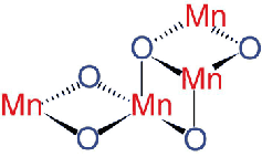 Bild2: Johannes Messinger/ MPI für Bioanorganische Chemie