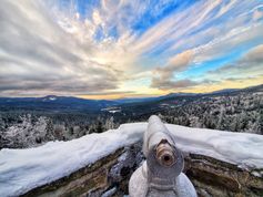 Blick von der Hindenburgkanzel über den Bayerischen Wald