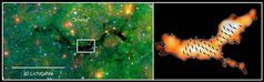 Kosmische Dunkelwolke "Snake" (Schlange) in ca. 8000 Lichtjahren Entfernung.
Quelle: T. Pillai & J. Kauffmann, auf der Grundlage von GLIMPSE & MIPSGAL Bildern vom Spitzer-Satelliten (NASA / JPL-Caltech / S. Carey [SSC/Caltech]), sowie SCUPOL-Daten vom JCMT (P. Redman / B. Matthews) (idw)