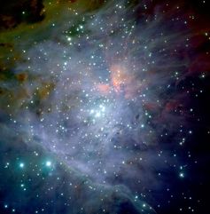 Der Orionnebelsternhaufen als Aufnahme des ESO-Observatoriums: Im Infraroten können Astronomen durch die Wolke sehen und die Tausenden lichtschwachen jungen Sterne sichtbar machen. Das Trapez ist im Zentrum der Aufnahme erkennbar. Zwischen diesen vier hellen Sternen würde sich das mutmaßliche Schwarze Loch befinden.
Quelle: (c) ESO/M.McCaughrean et al. (AIP) (idw)
