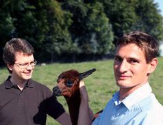 Gruppenbild mit Dame. Das Alpaka Annabel und seine Artgenossen halfen Heinrich Leonhardt (links) und Ulrich Rothbauer bei der Entwicklung leuchtender Nanosonden für den Einsatz in der biomedizinischen Forschung und Diagnostik. Quelle: LMU