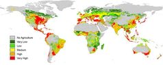 Globale Risikokarte durch den Eintrag von Insektiziden in Fließgewässern.
Quelle: Quelle: Environmental Pollution/ Elsevier (idw)
