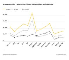 Privaten Neuzulassungen von E-Autos sind im Vergleich zum Jahresende 2023 stark eingebrochen.