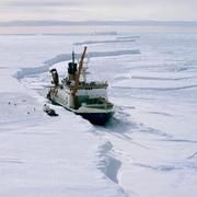Polarstern in der Atka-Bucht . Foto: Jonas Ziegler / Alfred-Wegener-Institut