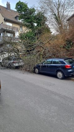 Bild: Feuerwehr Wetter (Ruhr)