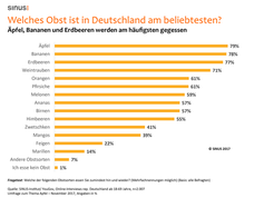 Bild: SINUS-Institut