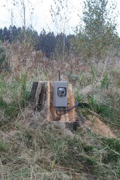 Fotofalle im Kaufunger Wald
Quelle: Foto: Universität Göttingen (idw)