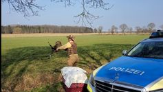 Greifvogel PK Geestland Bild: Polizei