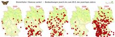 Bei science4you.org, wo neben der Datenbank des Tagfalter-Monitorings Deutschland auch das Online-Meldeportal der Deutschen Forschungszentrale für Schmetterlingswanderungen (DFZS) geführt wird, sind in diesem Jahr schon 300 Sichtungen mit jeweils mehr als 25 Distelfaltern erfasst worden. Die Grafik zeigt die starken Schwankungen in den Jahren 2005 bis 2009.