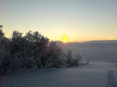 ... in Kilpisjärvi, Finnisches Lappland.
Quelle: Foto: C. Engelhardt/IGB (idw)