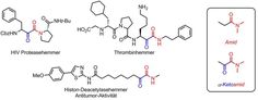 Bioaktive α-Ketoamide.
Quelle: Copyright: Maulide Group/Universität Wien (idw)