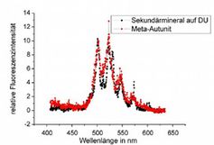 Zwei Spektren übereinander gelegt: das rote Spektrum der bekannten Vergleichsprobe stimmt überraschend genau mit dem schwarzen Spektrum des Uransalzes überein. FZR