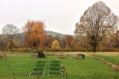 Terra-Preta-Projekt auf dem Sand in Tübingen