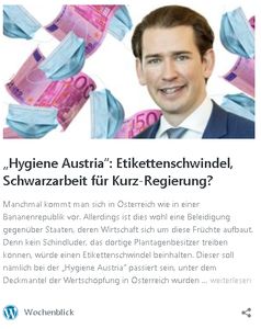 Bild: Screenshot Wochenblick.at (https://www.wochenblick.at/hygiene-austria-etikettenschwindel-schwarzarbeit-fuer-kurz-regierung/) / Eigenes Werk