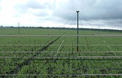 LOFAR-Antennen für Radio-Wellenlängen 4-10 Meter und 1-3 Meter. (s. Bild 2) Je 96 Antennen beider Typen bilden eine Station. (Bilder: ASTRON Dwingeloo/ Niederlande) 