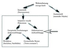 Bild 2: Bild 2: Arten von subjektiven visuellen Phänomenen. Grafik: Floco Tausin