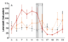 Die dunkelgrau schattierte Fläche zeigt das theoretisch ermittelte optimale Zeitfenster zwischen dem 13. und 15. Tag an, in dem der Parasit das Verhalten seines Wirts so manipulieren muss, dass er eine leichte Beute für den Stichling wird; die hellgraue Fläche zeigt das experimentell ermittelte Zeitfenster an. Solange das optimale Zeitfenster noch nicht erreicht ist, sorgt der Parasit dafür, dass der Copepode nach einem Schreckreiz mehr als zwei Minuten unbeweglich verharrt. Ist das optimale Zeitfenster erreicht, setzt nach einem Schreckreiz die Schwimmaktivität des Copepoden schon nach weniger als einer Minute wieder ein - damit wird er jedoch zu einer leichten Beute für den Stichling (Verhalten der infizierten Copepoden (rot), der Copepoden, die der Bandwurmlarve ausgesetzt waren, aber nicht infiziert wurden (orange) sowie der Kontrollgruppe (schwarz)).