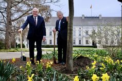 König Charles III. und Frank-Walter Steinmeier pflanzten eine Manna-Esche im Park von Schloss Bellevue zu Ehren der Queen.