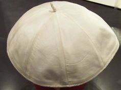 Die neu entdeckte Planktonart ist dem Pileolus, der kleinen Mütze des Papstes, sehr ähnlich.
Quelle: Stahlkocher - Eigenes Werk. Lizenziert unter Creative Commons Attribution-Share Alike 3.0 über Wikimedia Commons (idw)