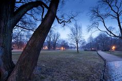 Licht beeinflusst nicht nur den Biorhythmus von Lebewesen in der Stadt. Quelle: Foto: André Künzelmann/UFZ (idw)