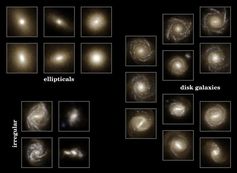 Bilder der simulierten Population von Galaxien, die entlang der klassischen Hubble-Sequenz („Stimmga
Quelle: Bild: Illustris (idw)