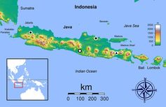 Eine Insel der Artenvielfalt: Das schwarze Dreieck im weißen Kreis markiert den Fundort der neuen Gecko-Art im Osten Javas. Quelle: Karte: Sadalmelik (Commons, CC-BY-SA-3.0) und Sven Mecke, Philipps-Universität Marburg (idw)